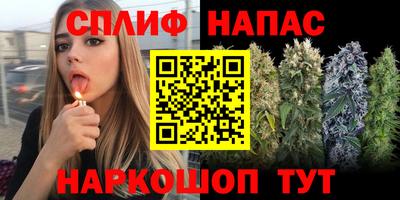 дмт Будённовск
