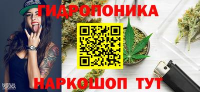 дмт Будённовск